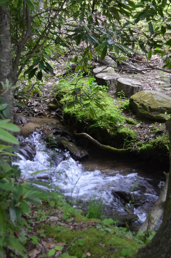 Panther Creek Cabins Cherokee Dış mekan fotoğraf