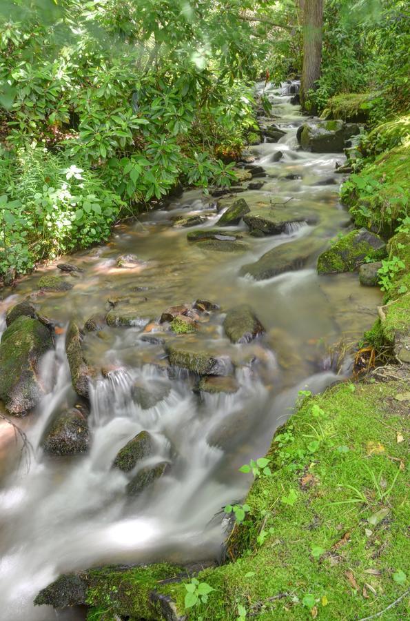 Panther Creek Cabins Cherokee Dış mekan fotoğraf